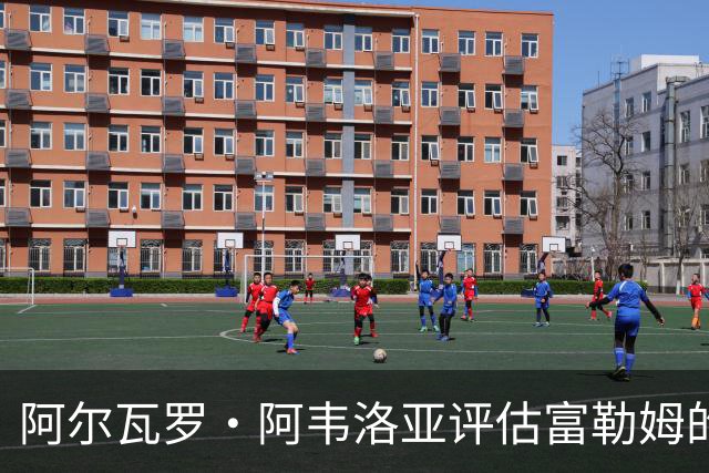 阿尔瓦罗·阿韦洛亚评估富勒姆的训练与战术调整